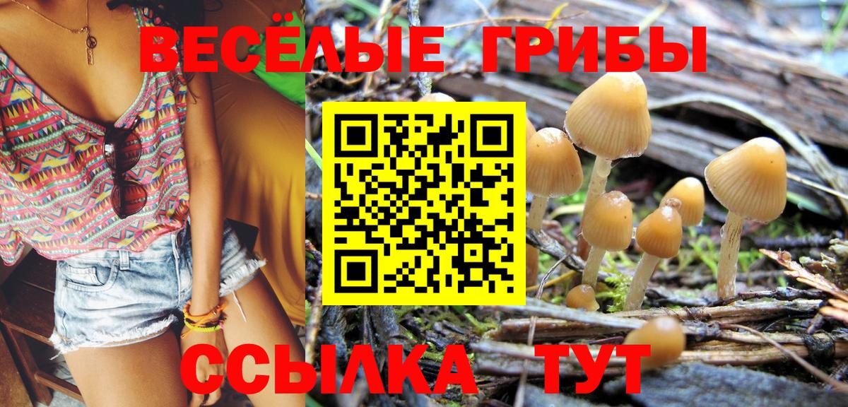 Псилоцибиновые грибы Magic Shrooms Россошь