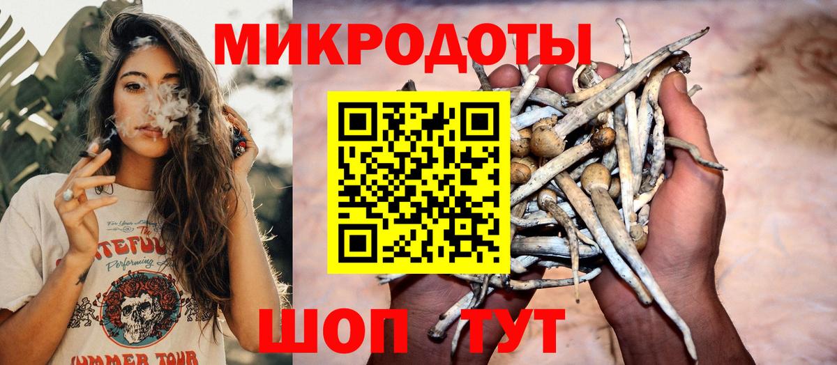 Россошь  Галлюциногенные грибы мицелий  Вход с VPN  Галлюциногенные грибы мицелий 
